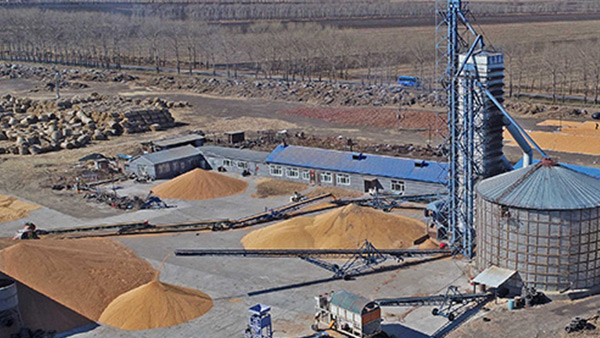 糧食烘干合作社如何做到年節(jié)省90萬元？利民萬佳鍋爐為您解析